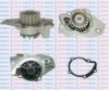 AQUAPLUS 85-2200 Water Pump